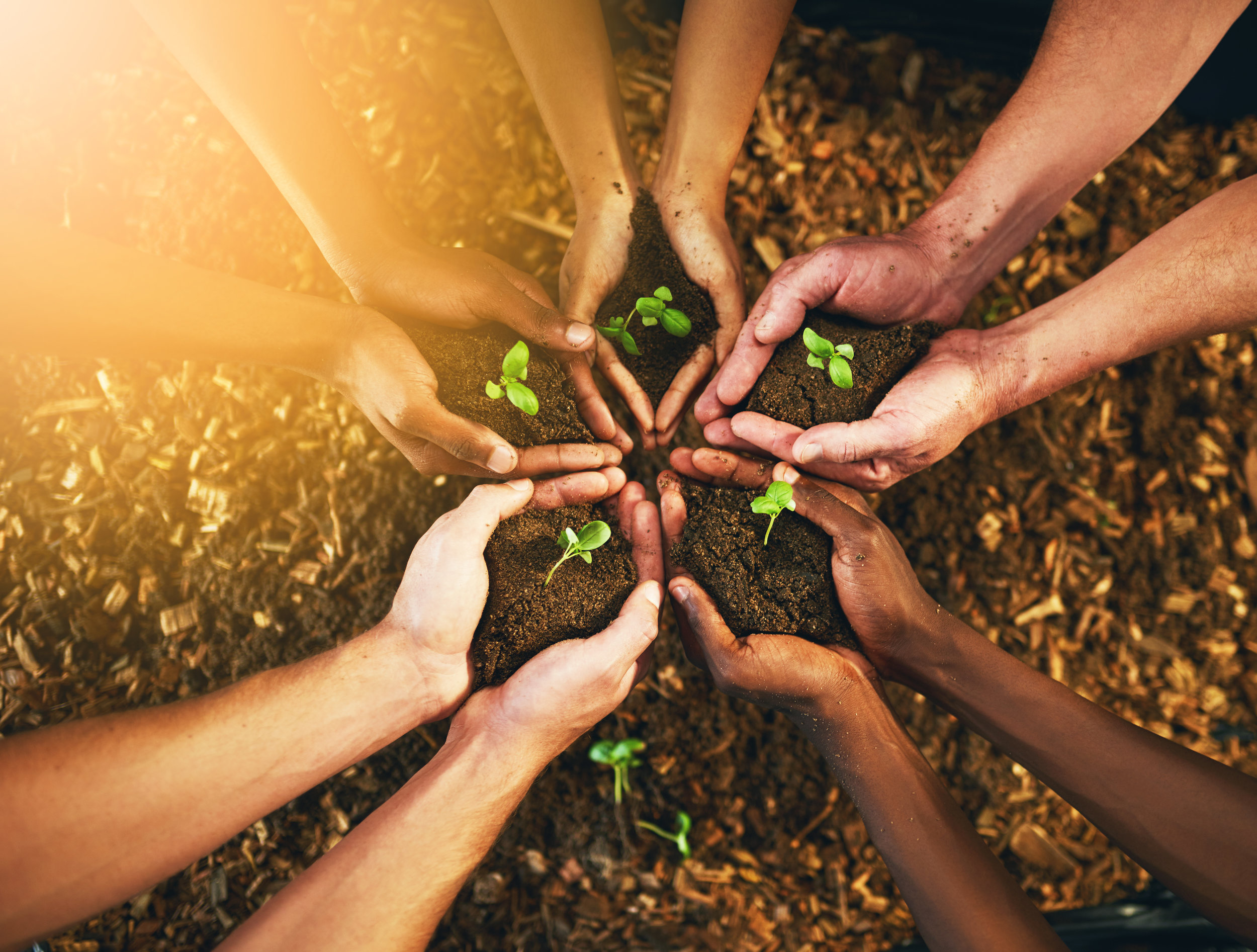 Hands of Change iStock-928855676_super.jpg